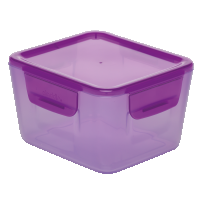 Pudełko Easy-Keep Lid Lunch Box 1.2L