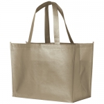 Laminowana torba na zakupy Alloy - Zdjęcie